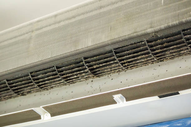 Best HVAC Air Duct Cleaning  in Clarksville, IN