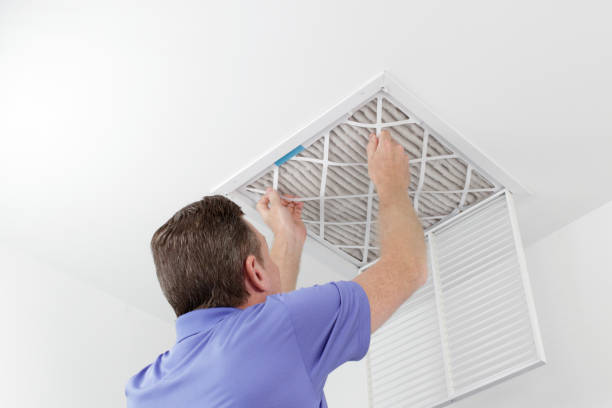 Best Air Duct Sanitizing Services  in Clarksville, IN